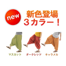 画像をギャラリービューアに読み込む, サルエルパンツ アラジンパンツ ストライプ タイパンツ メンズ レディース ユニセックス ストライプカラー エスニック アラジン G